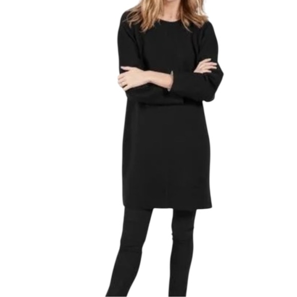 Everlane Classic Black Thick Scuba Relaxed Dress - Picture 1 of 4